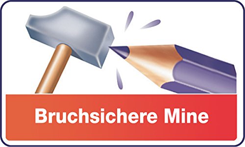 24 crayons de couleurs bic