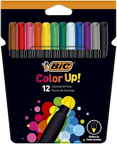 12 feutres de coloriage intensit bic